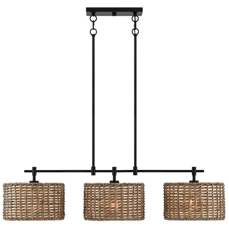 Raphael Beachy 3 Light Dimmable Drum Chandelier for Dining Room